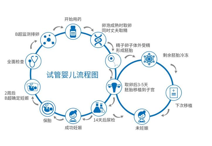 供卵试管代怀双胞胎流程_供卵试管代怀双胞胎流程详解