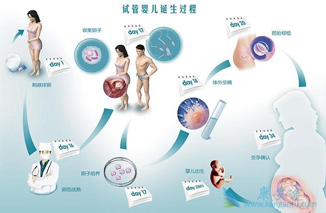 供卵试管婴儿的流程_供卵试管婴儿：全程流程解析