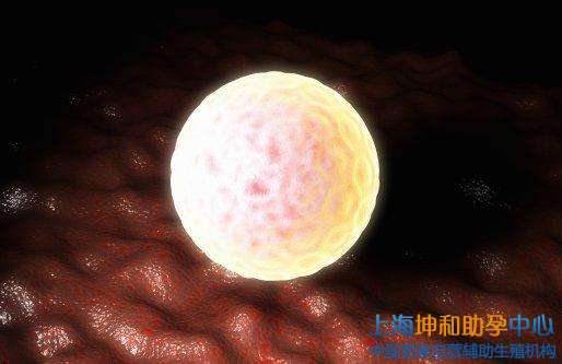 供卵的卵子多少钱一枚【供卵:卵子多少钱一枚?】