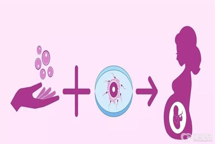 供卵试管怀孕成功率高吗-供卵试管怀孕成功率高吗？