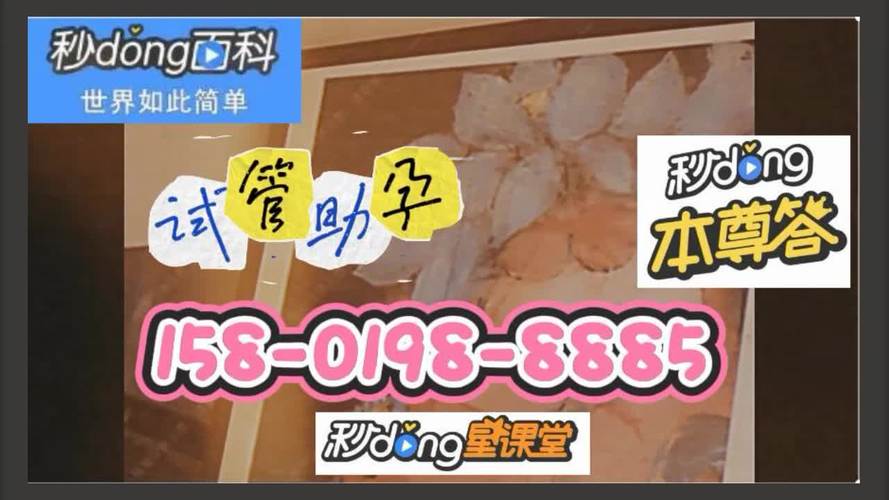 供卵试管代怀公司哪家好-供卵试管代怀公司哪家好?选择最佳代怀机构的关键指南
