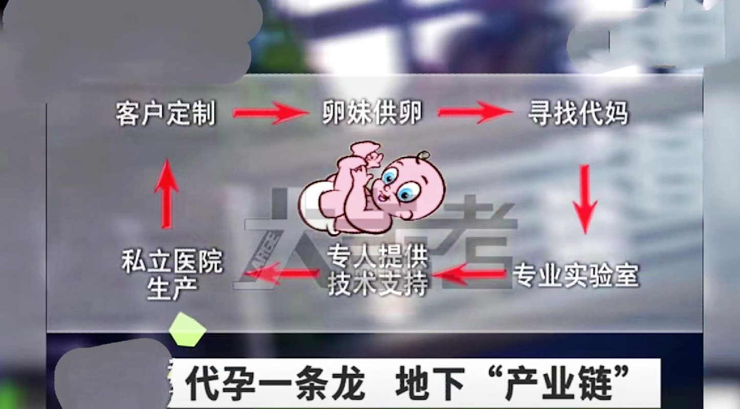 供卵泰国和台湾哪里好-泰国与台湾:哪里更适合供卵?
