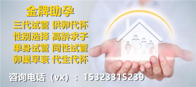 供卵试管代怀选性别-供卵试管代怀：选择宝宝性别的全新方式
