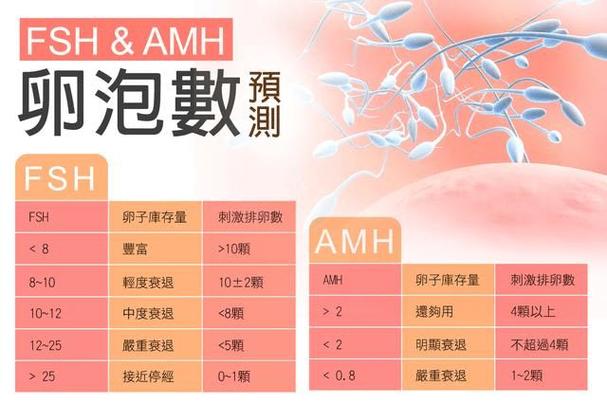 供卵代生子_代孕：供卵者的选择与责任