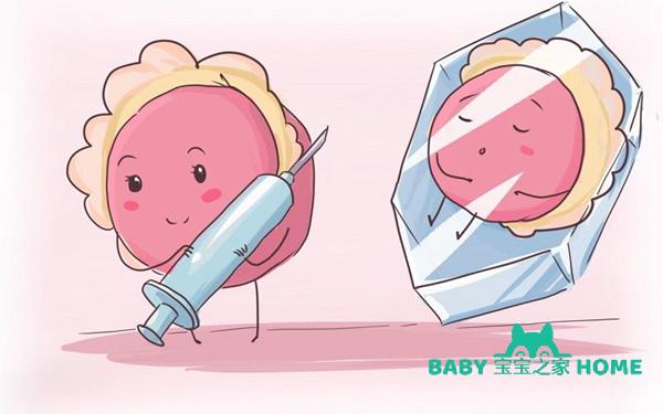 供卵试管婴儿能成功吗_供卵试管婴儿成功率如何?